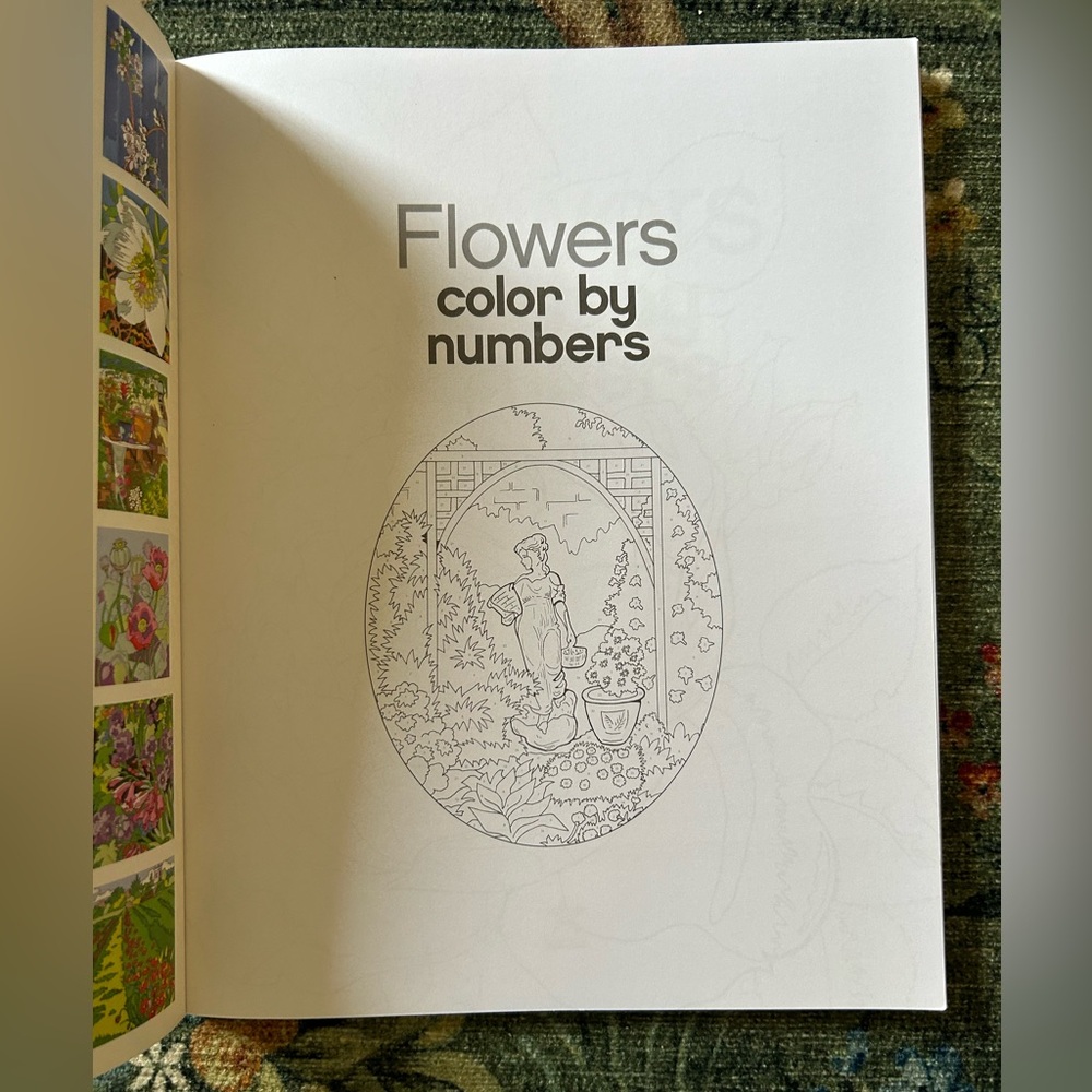 NEW Flowers Color by Numbers (Sirius Color by Numbers Collection, 12) - Picture 2 of 9